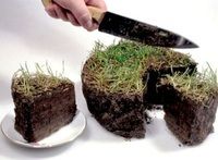 Агротрейд vs. Влада — земельные войны по-новому